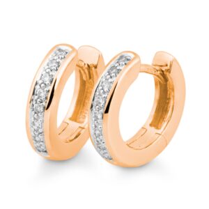 Creolen, Goldwerkstatt, Schmuck und Trauringe, Neuötting, Ohrschmuck, Ohrringe, Brillantschmuck, Neuötting, Altötting